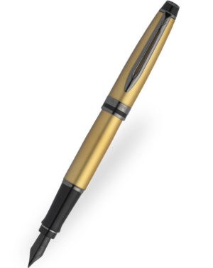 Stylo plume EXPERT – Waterman